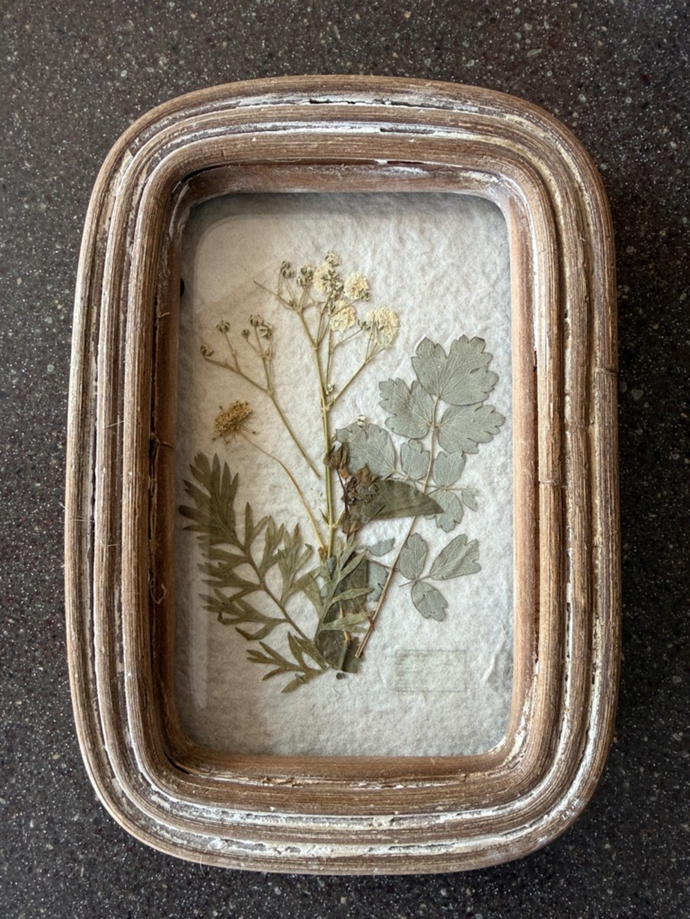Pressed Wildflower Art in Distressed Wood Frame